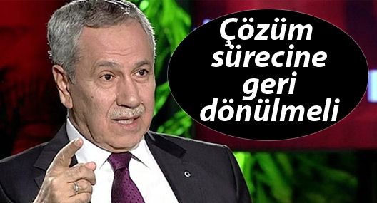 Arınç: Silahla olmaz, çözüm sürecine geri dönülmeli