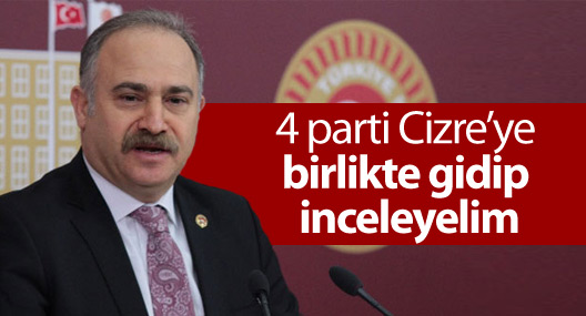 CHP’li Gök: 4 parti Cizre’ye birlikte gidip inceleyelim