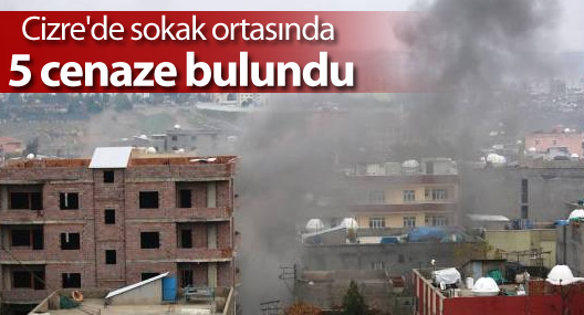 Cizre'de sokak ortasında 5 cenaze bulundu