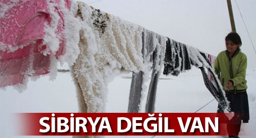 Van'da dondurucu soğuk