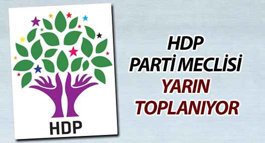 HDP Parti Meclisi yarın toplanıyor