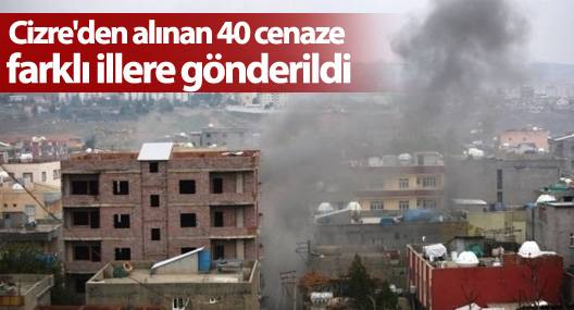Cizre'den alınan 40 cenaze farklı illere gönderildi