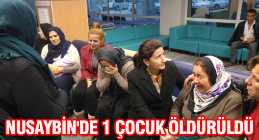 Nusaybin'de 1 çocuk hayatını kaybetti