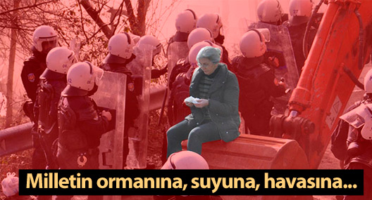 Milletin ormanına, suyuna, havasına... Sen hiç merak etme!