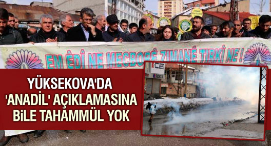 Yüksekova'da 'Anadil' açıklamasına polis müdahalesi