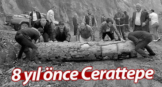 8 yıl önce Cerattepe