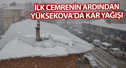 Yüksekova'da kar yağışı