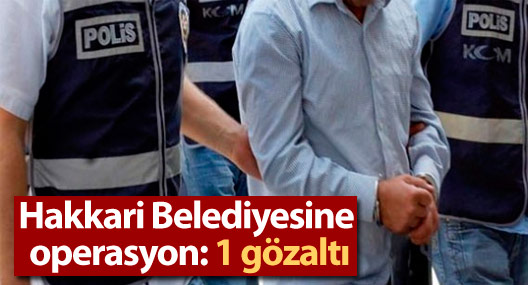 Hakkari'de polis baskını: 1 gözaltı