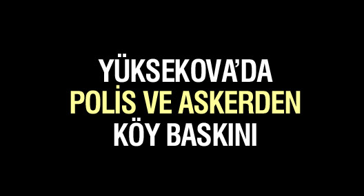 Yüksekova'da asker ve polisten köy baskını
