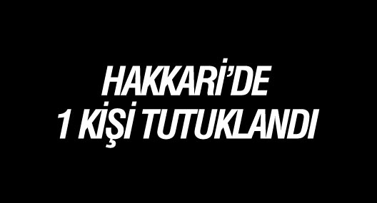 Hakkari'de 1 kişi tutuklandı