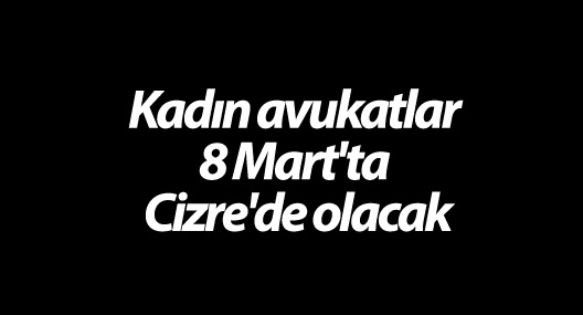 Kadın avukatlar 8 Mart'ta Cizre'de olacak