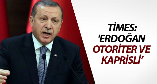 Times: Batı, Erdoğan'a karşı susmamalı