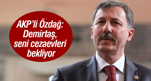 AKP’li Özdağ: Demirtaş seni cezaevleri bekliyor