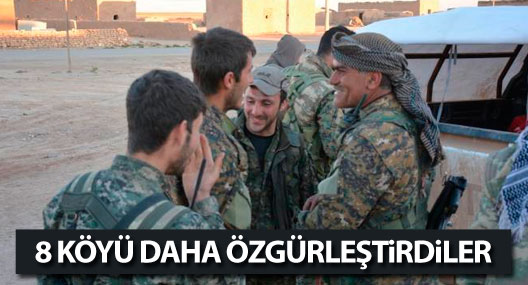QSD 8 köyü daha özgürleştirdi