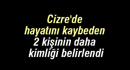 Cizre'de hayatını kaybeden 2 kişinin daha kimliği belirlendi