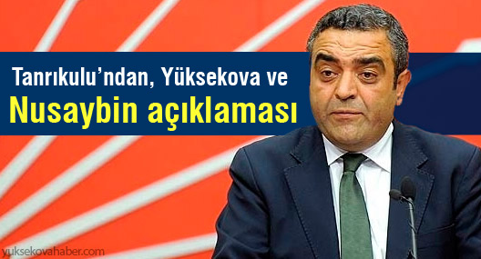 ‘Cizre’deki hukuk dışılık Yüksekova ve Nusaybin’de de yürütülebilir’