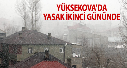 Yüksekova'da yasağın ikinci günü: Çatışmasız, Kar yağışlı