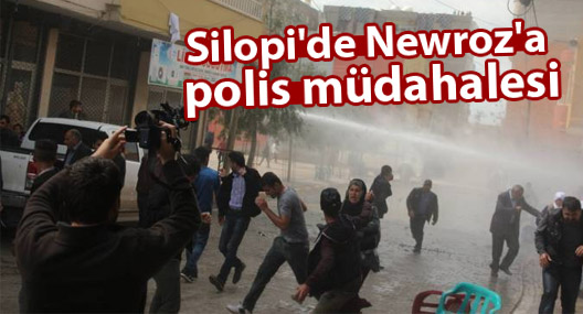 Silopi'de Newroz'a polis müdahalesi