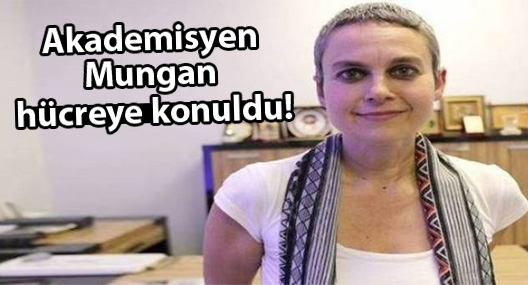 Akademisyen Mungan hücreye konuldu!