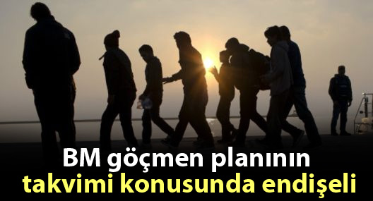 BM göçmen planının takvimi konusunda endişeli