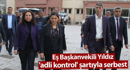 Hakkari'de ev baskınları:4 gözaltı