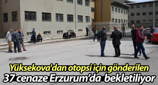 Yüksekova'dan otopsi için gönderilen 37 cenaze bekletiliyor