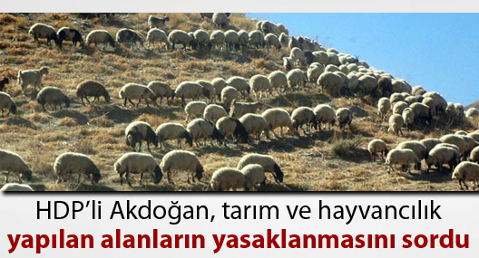 HDP'li Akdoğan tarım-hayvancılık alanlarının yasaklanmasını sordu