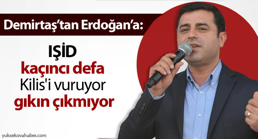 Demirtaş'tan Erdoğan'a: IŞİD Kilis'i vuruyor gıkın çıkmıyor