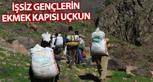 İşsiz gençlerin ekmek kapısı uçkun