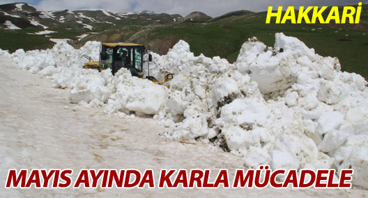 Mayıs ayında karla mücadele