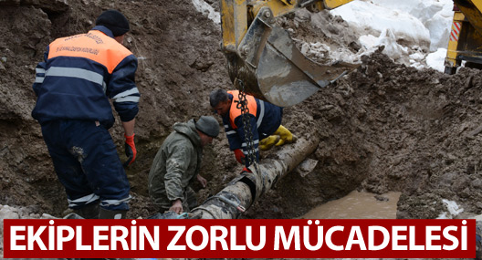 Berçelan yaylasında zorlu çalışma
