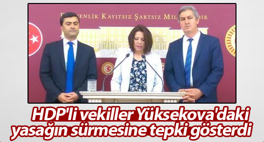 HDP'li vekiller Yüksekova'daki yasağın sürmesine tepki gösterdi