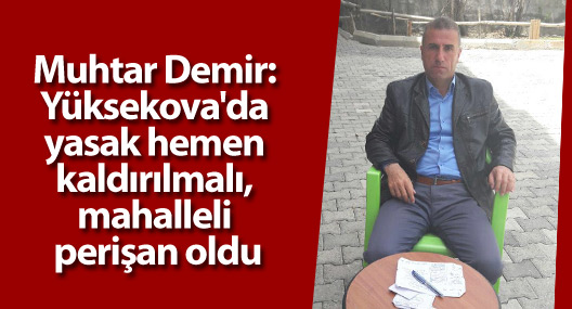 Demir: Yüksekova'da yasak hemen kaldırılmalı, mahalleli perişan oldu