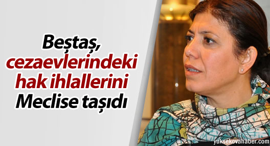 Beştaş, cezaevlerindeki hak ihlallerini Meclise taşıdı