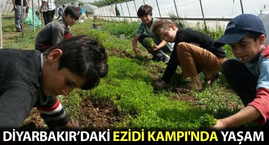 Diyarbakır’daki Ezidi Kampı'nda yaşam