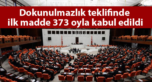 'Dokunulmazlık' oylamasında 1. madde: 373 'Evet'