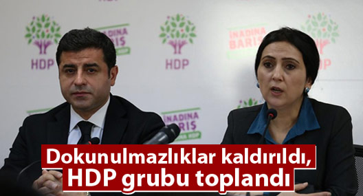 HDP, kararı değerlendirmek üzere toplandı
