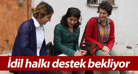 Yaralarını saran İdil halkı destek bekliyor