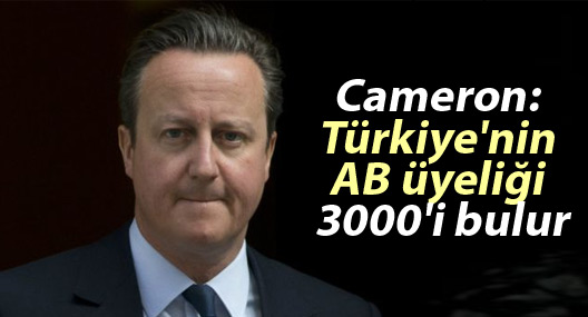 Cameron: Türkiye'nin AB üyeliği 3000'i bulur