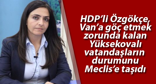 HDP'li Özgökçe, Van'a göç etmek zorunda kalan Yüksekovalıları Meclis'e taşıdı