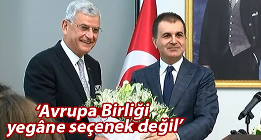 AB Bakanı: Avrupa Birliği yegâne seçenek değil