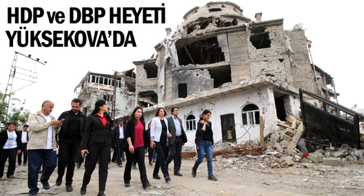 HDP ve DBP heyeti Yüksekova'da incelemelerde bulundu