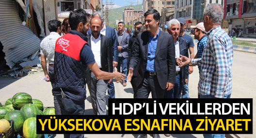 HDP’li vekiller iş yerlerini açan Yüksekova esnafını gezdi
