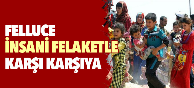 Felluce 'insani felaketle karşı karşıya'