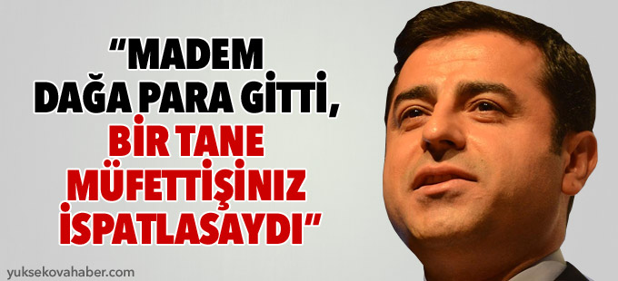 “Madem dağa para gitti, bir tane müfettişiniz bunu ispatlasaydı”
