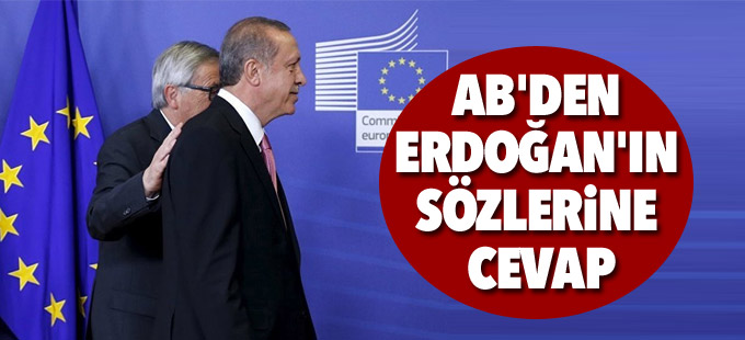 AB'den Erdoğan'ın sözlerine cevap: Karar Türkiye’nin