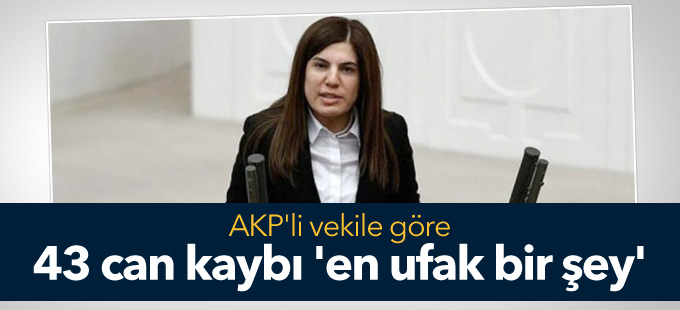 AKP'li vekile göre 43 can kaybı 'en ufak bir şey'