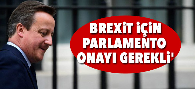 İngiltere'nin AB'den ayrılması için 'Parlamento onayı gerekli'