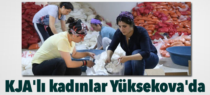 KJA'lı kadınlar Yüksekova'da