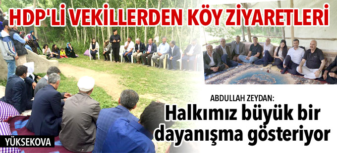 HDP’li vekiller Yüksekova'ya bağlı köyleri ziyaret ediyor